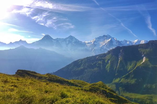 Mountain Vista