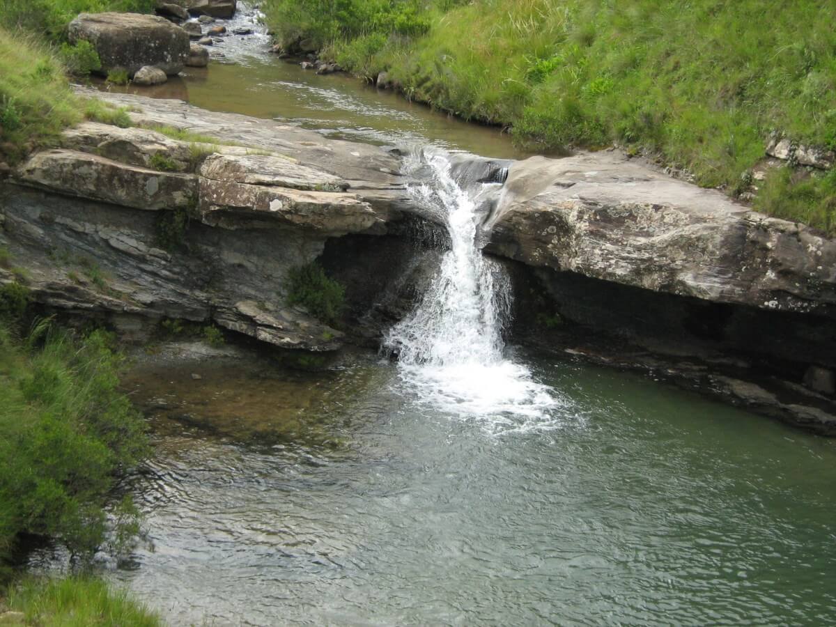 Cedric's Pool