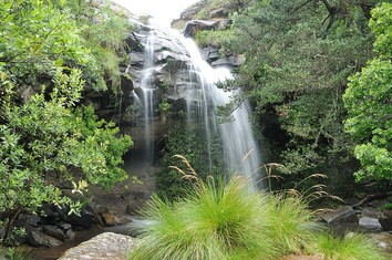 Doreen Falls Hike